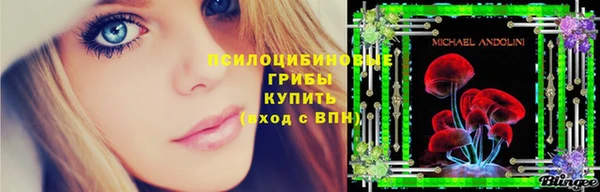 гидропоника Бронницы