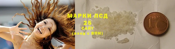прущие грибы Володарск
