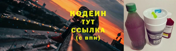 прущие грибы Володарск